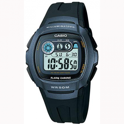 CASIO W-210